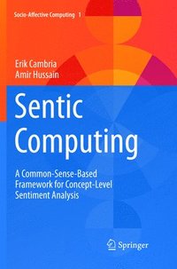 bokomslag Sentic Computing