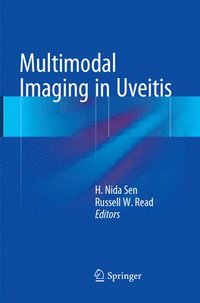 bokomslag Multimodal Imaging in Uveitis