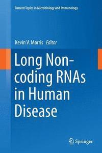 bokomslag Long Non-coding RNAs in Human Disease