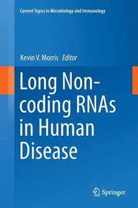 bokomslag Long Non-coding RNAs in Human Disease