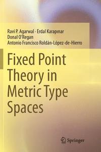 bokomslag Fixed Point Theory in Metric Type Spaces