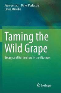 bokomslag Taming the Wild Grape