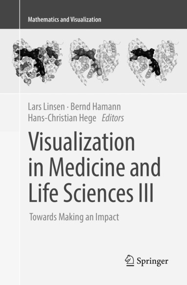 Lars Linsen, Bernd Hamann, Hans-Christian Hege - Visualization in Medicine and Life Sciences III, Häftad