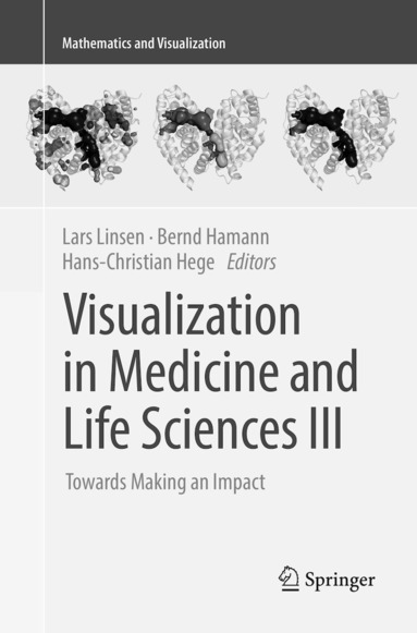 bokomslag Visualization in Medicine and Life Sciences III