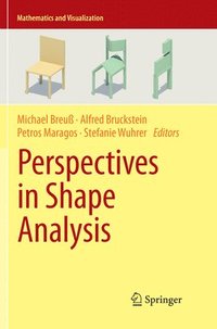 bokomslag Perspectives in Shape Analysis