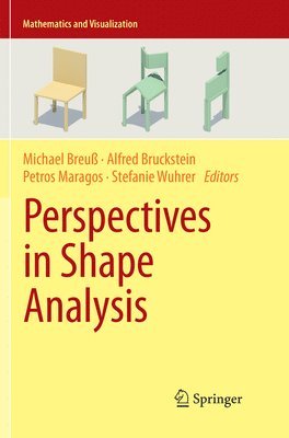 bokomslag Perspectives in Shape Analysis