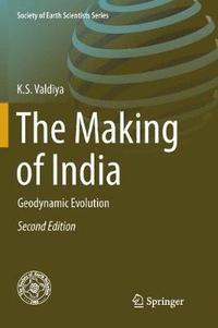 bokomslag The Making of India