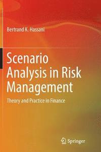 bokomslag Scenario Analysis in Risk Management