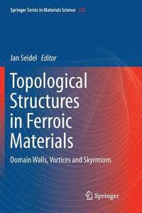bokomslag Topological Structures in Ferroic Materials