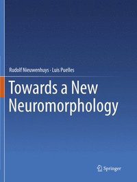 bokomslag Towards a New Neuromorphology