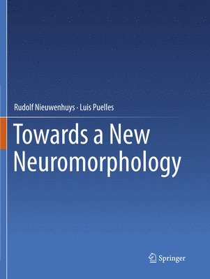 Towards a New Neuromorphology 1