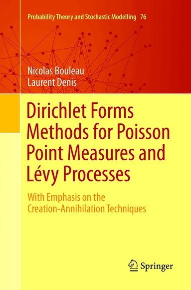 Nicolas Bouleau, Laurent Denis - Dirichlet Forms Methods for Poisson Point Measures and Lévy Processes, Häftad