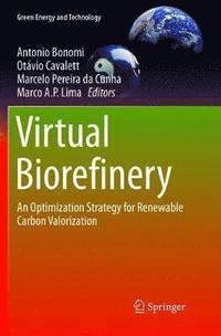 bokomslag Virtual Biorefinery