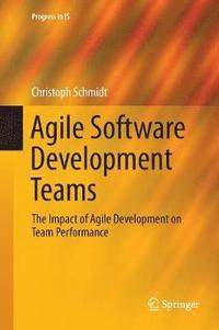 bokomslag Agile Software Development Teams