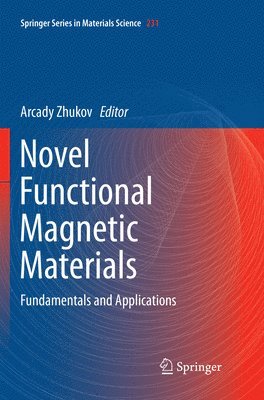 bokomslag Novel Functional Magnetic Materials