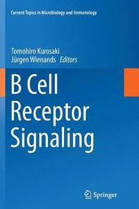 bokomslag B Cell Receptor Signaling