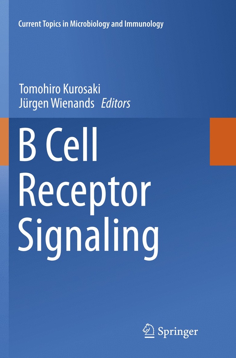 B Cell Receptor Signaling 1