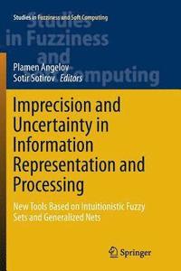 bokomslag Imprecision and Uncertainty in Information Representation and Processing