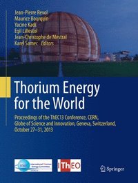 bokomslag Thorium Energy for the World
