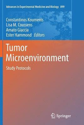 Tumor Microenvironment 1