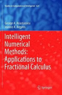 bokomslag Intelligent Numerical Methods: Applications to Fractional Calculus