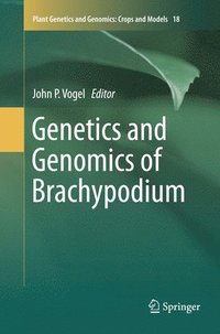bokomslag Genetics and Genomics of Brachypodium