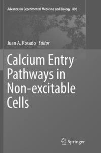 bokomslag Calcium Entry Pathways in Non-excitable Cells