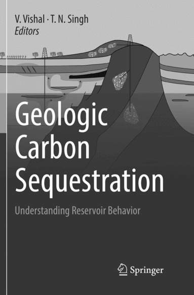 V. Vishal, T.N. Singh - Geologic Carbon Sequestration, Häftad