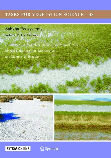 M. Ajmal Khan, Benno Boër, Münir Ȫzturk, Miguel Clüsener-Godt, Bilquees Gul, Siegmar-W. Breckle - Sabkha Ecosystems, Häftad