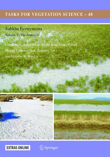 bokomslag Sabkha Ecosystems