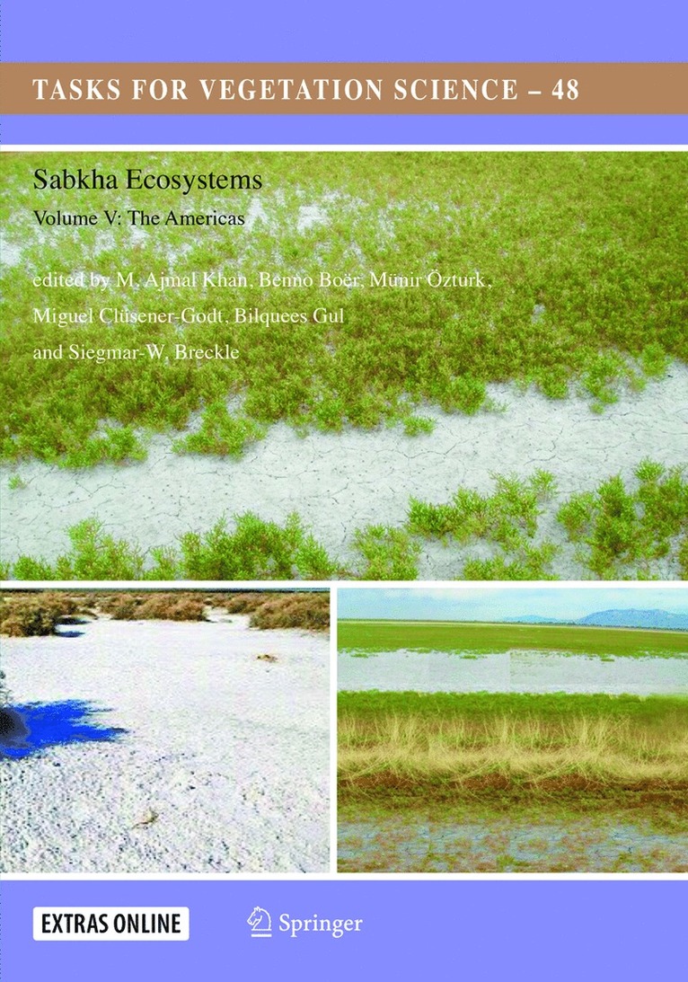 M. Ajmal Khan, Benno Boër, Münir Ȫzturk, Miguel Clüsener-Godt, Bilquees Gul, Siegmar-W. Breckle, Münir ¿Zturk - Sabkha Ecosystems, Häftad
