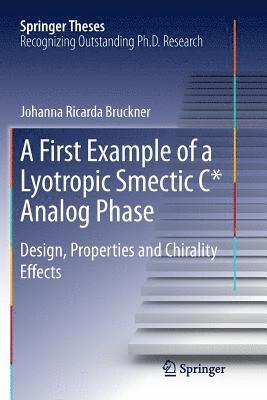 bokomslag A First Example of a Lyotropic Smectic C* Analog Phase