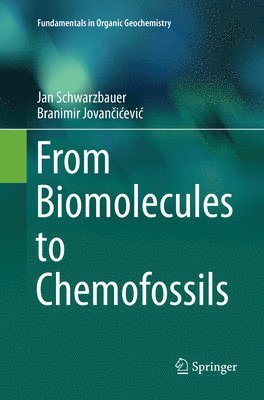 bokomslag From Biomolecules to Chemofossils
