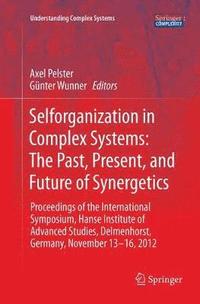 bokomslag Selforganization in Complex Systems: The Past, Present, and Future of Synergetics