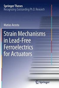 bokomslag Strain Mechanisms in Lead-Free Ferroelectrics for Actuators