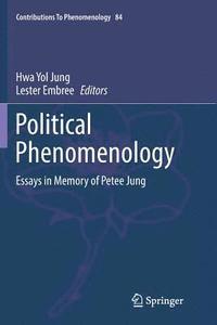 bokomslag Political Phenomenology