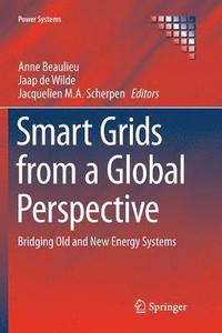 bokomslag Smart Grids from a Global Perspective