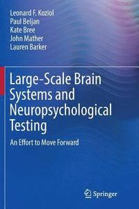 bokomslag Large-Scale Brain Systems and Neuropsychological Testing