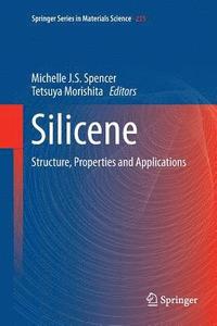 bokomslag Silicene