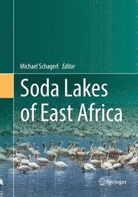 bokomslag Soda Lakes of East Africa