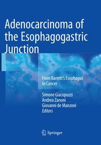 bokomslag Adenocarcinoma of the Esophagogastric Junction