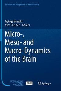 bokomslag Micro-, Meso- and Macro-Dynamics of the Brain