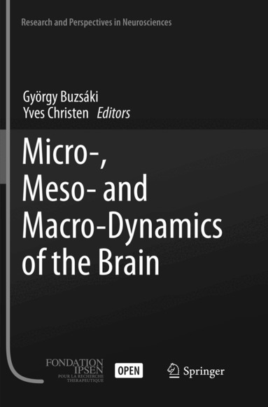 György Buzsáki, Yves Christen - Micro-, Meso- and Macro-Dynamics of the Brain, Häftad