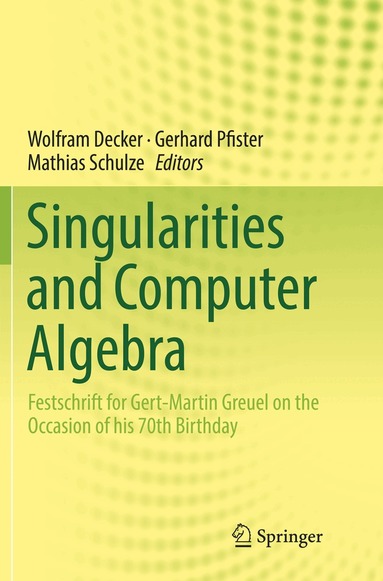 Wolfram Decker, Gerhard Pfister, Mathias Schulze - Singularities and Computer Algebra, Häftad
