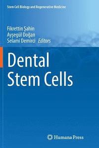 bokomslag Dental Stem Cells