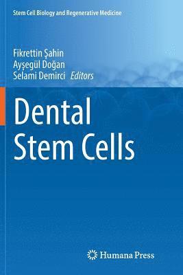 Dental Stem Cells