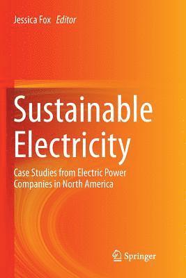 Sustainable Electricity 1