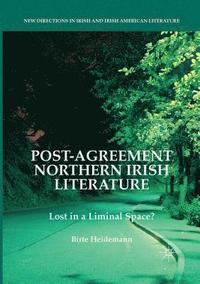 bokomslag Post-Agreement Northern Irish Literature
