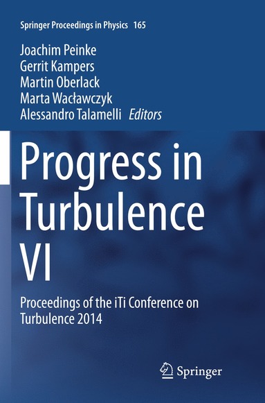 bokomslag Progress in Turbulence VI