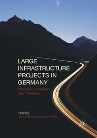 bokomslag Large Infrastructure Projects in Germany
